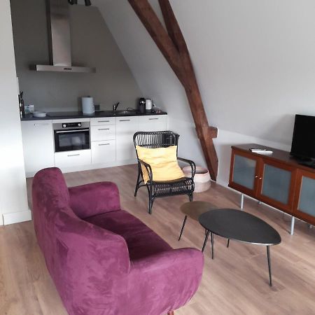 Historic Renovated Apartment With Balcony And Garden View Gouda Exteriör bild
